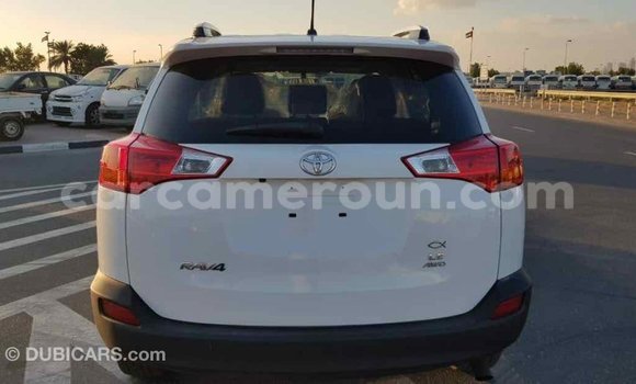 Acheter Import Voiture Toyota RAV4 Blanc à Import - Dubai, Adamawa Acheter Import Voiture Toyota RAV4 Blanc à Import - Dubai, Adamawa