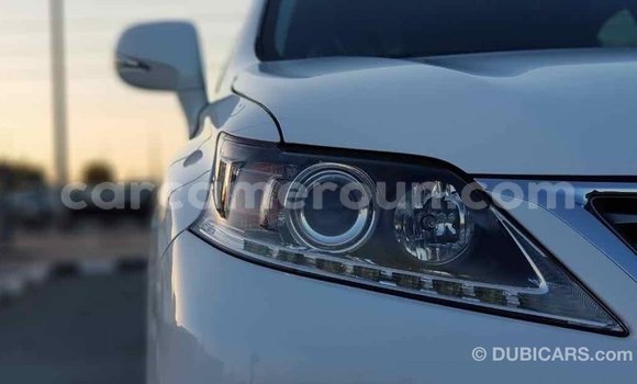 Sayi Imported Lexus RX 350 White Mota in Import - Dubai a Adamawa