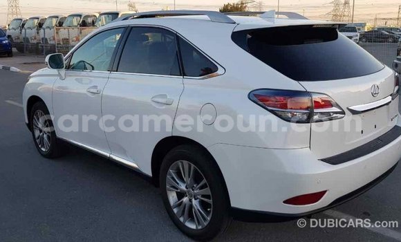 Acheter Import Voiture Lexus RX 350 Blanc à Import - Dubai, Adamawa Acheter Import Voiture Lexus RX 350 Blanc à Import - Dubai, Adamawa