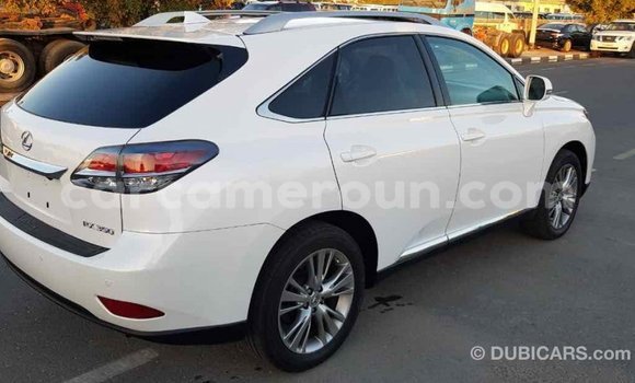 Acheter Import Voiture Lexus RX 350 Blanc à Import - Dubai, Adamawa Acheter Import Voiture Lexus RX 350 Blanc à Import - Dubai, Adamawa