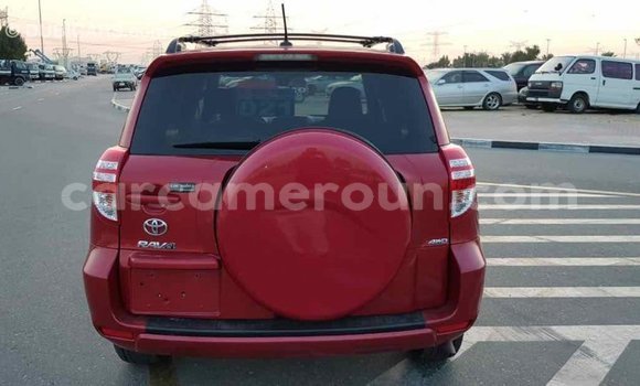 Buy Import Toyota RAV4 Red Car in Import - Dubai in Adamawa Buy Import Toyota RAV4 Red Car in Import - Dubai in Adamawa