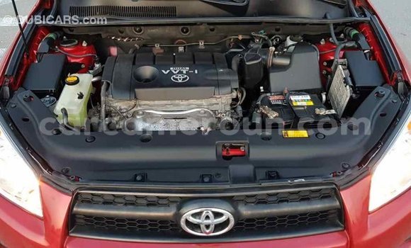 Buy Import Toyota RAV4 Red Car in Import - Dubai in Adamawa Buy Import Toyota RAV4 Red Car in Import - Dubai in Adamawa