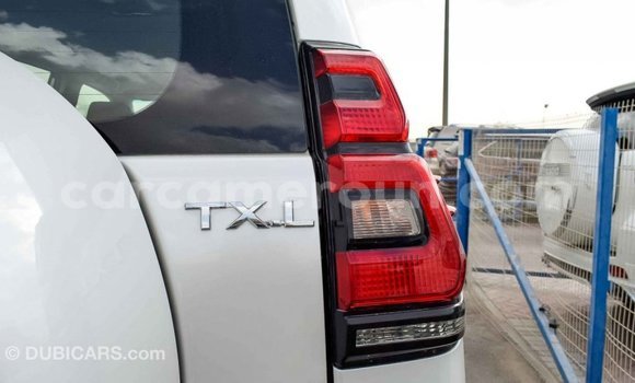 Acheter Import Voiture Toyota Prado Blanc à Import - Dubai, Adamawa Acheter Import Voiture Toyota Prado Blanc à Import - Dubai, Adamawa