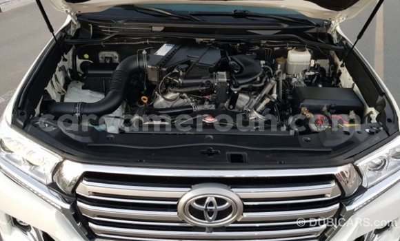 Buy Import Toyota Land Cruiser White Car in Import - Dubai in Adamawa Buy Import Toyota Land Cruiser White Car in Import - Dubai in Adamawa