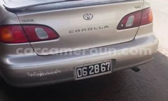 Sayi Na hannu Toyota Corolla Sauran Mota in Yaounde a Babban Kamaru Sayi Na hannu Toyota Corolla Sauran Mota in Yaounde a Babban Kamaru