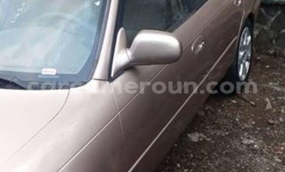 Sayi Na hannu Toyota Corolla Sauran Mota in Yaounde a Babban Kamaru Sayi Na hannu Toyota Corolla Sauran Mota in Yaounde a Babban Kamaru