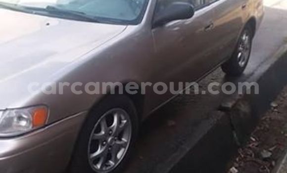 Sayi Na hannu Toyota Corolla Sauran Mota in Yaounde a Babban Kamaru Sayi Na hannu Toyota Corolla Sauran Mota in Yaounde a Babban Kamaru