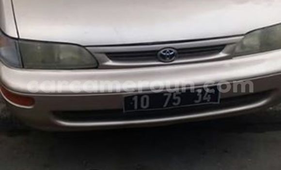 Sayi Na hannu Toyota Corolla Sauran Mota in Yaounde a Babban Kamaru Sayi Na hannu Toyota Corolla Sauran Mota in Yaounde a Babban Kamaru