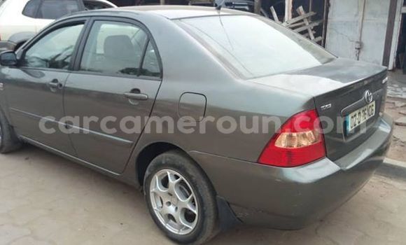 Sayi Na hannu Toyota Corolla Sauran Mota in Douala a Ƙasar Kamaru Sayi Na hannu Toyota Corolla Sauran Mota in Douala a Ƙasar Kamaru