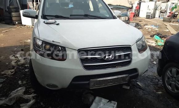 Sayi Na hannu Hyundai Tucson White Mota in Douala a Ƙasar Kamaru Sayi Na hannu Hyundai Tucson White Mota in Douala a Ƙasar Kamaru