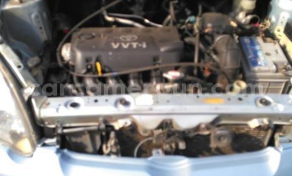 Sayi Na hannu Toyota Yaris Blue Mota in Yaounde a Babban Kamaru Sayi Na hannu Toyota Yaris Blue Mota in Yaounde a Babban Kamaru