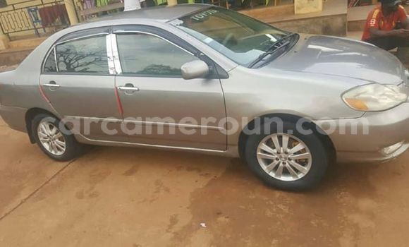 Sayi Na hannu Toyota Corolla Sauran Mota in Yaounde a Babban Kamaru Sayi Na hannu Toyota Corolla Sauran Mota in Yaounde a Babban Kamaru