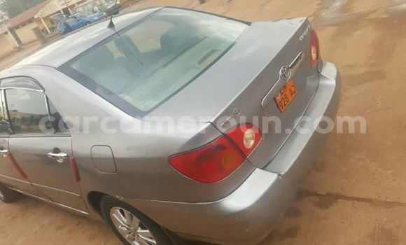 Sayi Na hannu Toyota Corolla Sauran Mota in Yaounde a Babban Kamaru Sayi Na hannu Toyota Corolla Sauran Mota in Yaounde a Babban Kamaru