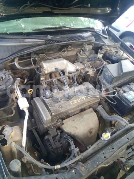 Big with watermark 57004861 2270156379905258 9173028010759028736 n