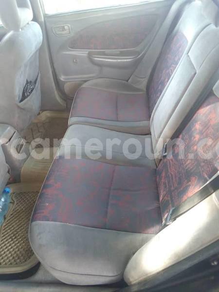 Big with watermark 56835688 2270156296571933 590378134264610816 n