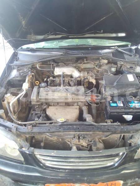 Big with watermark 56575836 2270156339905262 1785262594634809344 n