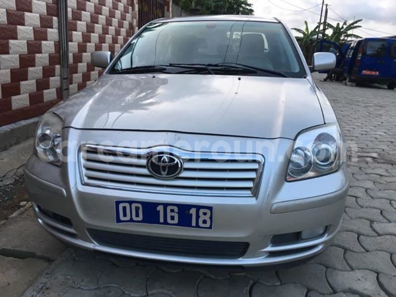 Big with watermark 56942421 579426295884480 7376052731070382080 n