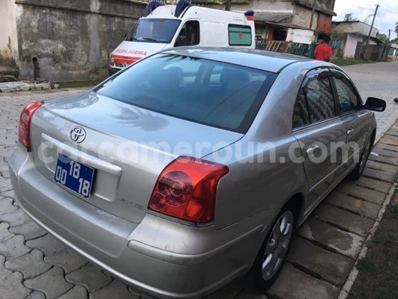 Big with watermark 57221411 579426309217812 3018243453575233536 n