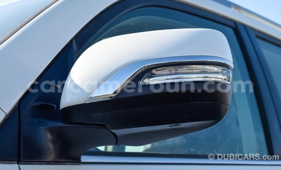 Acheter Import Voiture Toyota Land Cruiser Blanc à Import - Dubai, Adamawa Acheter Import Voiture Toyota Land Cruiser Blanc à Import - Dubai, Adamawa