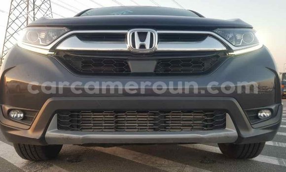 Buy Import Honda C Other Bike in Import - Dubai in Adamawa Buy Import Honda C Other Bike in Import - Dubai in Adamawa