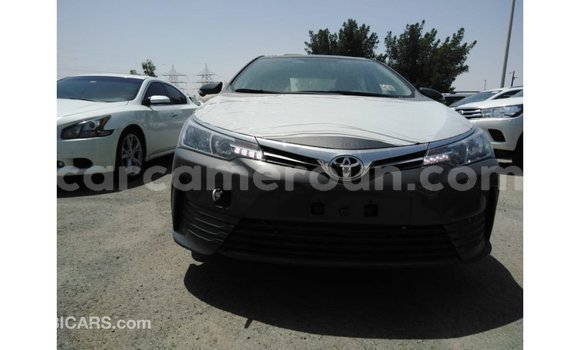 Sayi Imported Toyota Corolla Sauran Mota in Import - Dubai a Adamawa Sayi Imported Toyota Corolla Sauran Mota in Import - Dubai a Adamawa