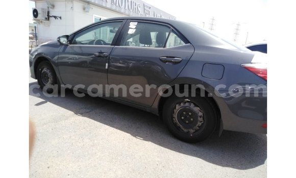 Sayi Imported Toyota Corolla Sauran Mota in Import - Dubai a Adamawa Sayi Imported Toyota Corolla Sauran Mota in Import - Dubai a Adamawa