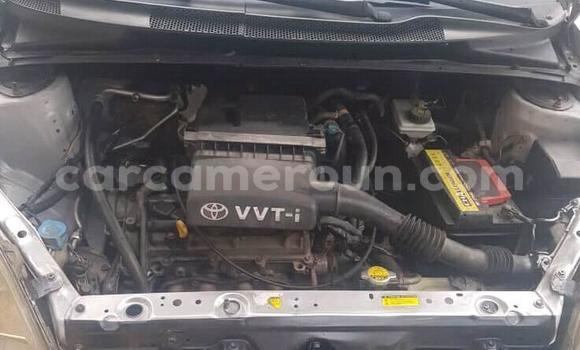 Acheter Occasion Voiture Toyota Yaris Gris à Douala, Littoral Cameroon Acheter Occasion Voiture Toyota Yaris Gris à Douala, Littoral Cameroon