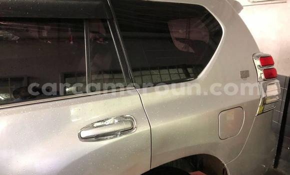 Acheter Occasion Voiture Toyota Land Cruiser Prado Blanc à Douala, Littoral Cameroon Acheter Occasion Voiture Toyota Land Cruiser Prado Blanc à Douala, Littoral Cameroon