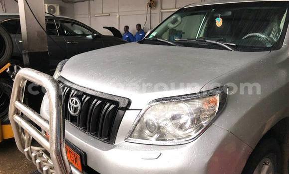 Acheter Occasion Voiture Toyota Land Cruiser Prado Blanc à Douala, Littoral Cameroon Acheter Occasion Voiture Toyota Land Cruiser Prado Blanc à Douala, Littoral Cameroon