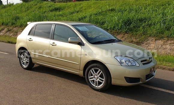 Buy Import Toyota Allex Silver Car in Yaounde in Central Cameroon Buy Import Toyota Allex Silver Car in Yaounde in Central Cameroon