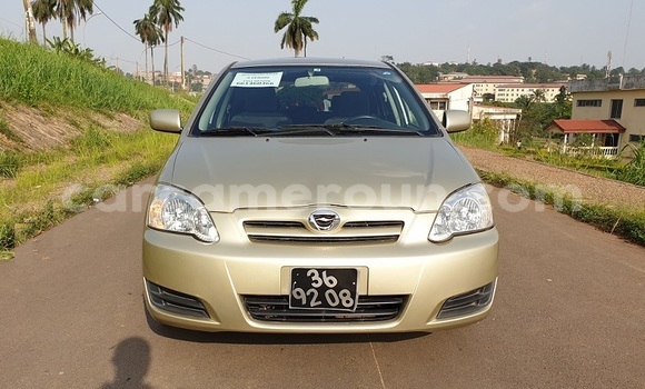 Buy Import Toyota Allex Silver Car in Yaounde in Central Cameroon Buy Import Toyota Allex Silver Car in Yaounde in Central Cameroon