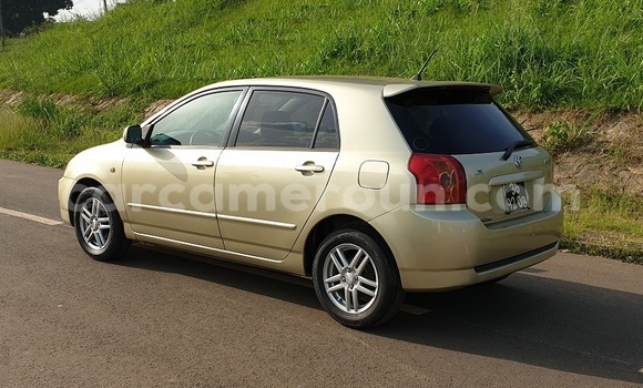 Buy Import Toyota Allex Silver Car in Yaounde in Central Cameroon Buy Import Toyota Allex Silver Car in Yaounde in Central Cameroon
