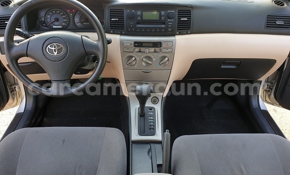 Buy Import Toyota Allex Silver Car in Yaounde in Central Cameroon Buy Import Toyota Allex Silver Car in Yaounde in Central Cameroon