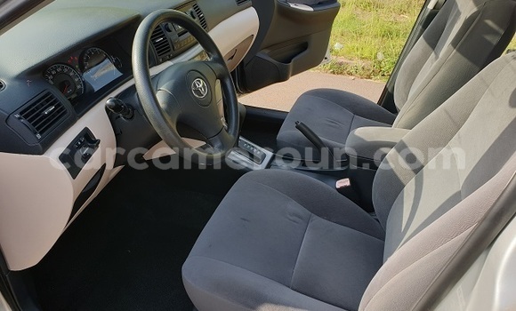 Buy Import Toyota Allex Silver Car in Yaounde in Central Cameroon Buy Import Toyota Allex Silver Car in Yaounde in Central Cameroon