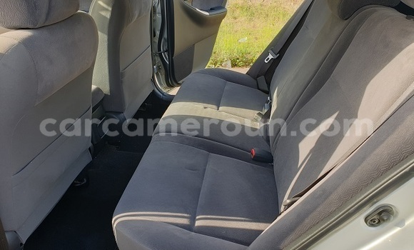 Buy Import Toyota Allex Silver Car in Yaounde in Central Cameroon Buy Import Toyota Allex Silver Car in Yaounde in Central Cameroon
