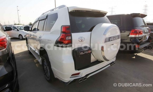 Acheter Import Voiture Toyota Prado Blanc à Import - Dubai, Adamawa Acheter Import Voiture Toyota Prado Blanc à Import - Dubai, Adamawa
