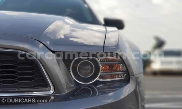 Acheter Import Voiture Ford Mustang Autre à Import - Dubai, Adamawa Acheter Import Voiture Ford Mustang Autre à Import - Dubai, Adamawa