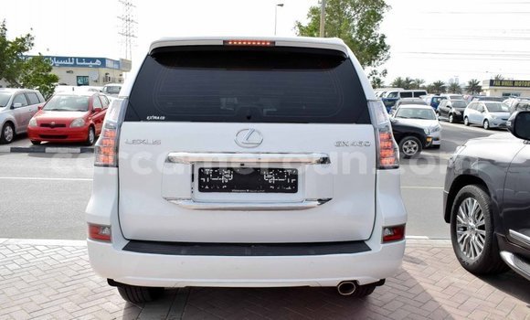 Acheter Import Voiture Lexus GX Blanc à Import - Dubai, Adamawa Acheter Import Voiture Lexus GX Blanc à Import - Dubai, Adamawa