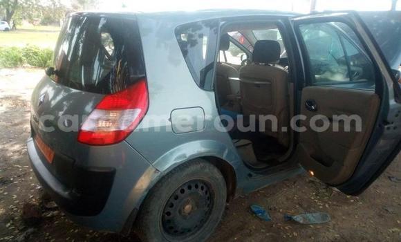 Sayi Na hannu Renault Scenic Blue Mota in Douala a Ƙasar Kamaru Sayi Na hannu Renault Scenic Blue Mota in Douala a Ƙasar Kamaru