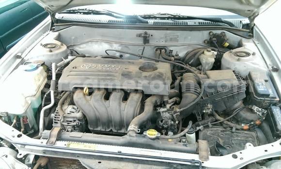 Acheter Occasion Voiture Toyota Corolla Gris à Yaoundé, Central Cameroon Acheter Occasion Voiture Toyota Corolla Gris à Yaoundé, Central Cameroon