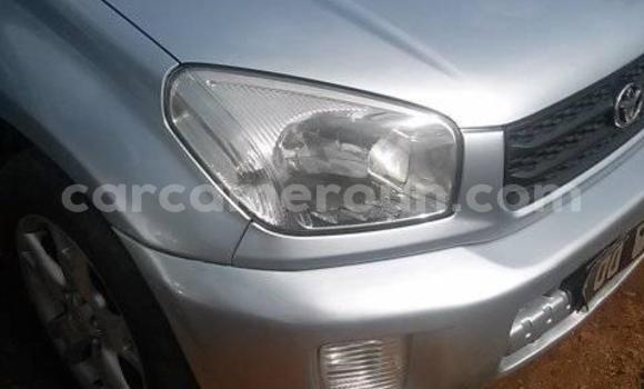 Acheter Occasion Voiture Toyota RAV4 Gris à Yaoundé, Central Cameroon Acheter Occasion Voiture Toyota RAV4 Gris à Yaoundé, Central Cameroon