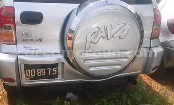 Acheter Occasion Voiture Toyota RAV4 Gris à Yaoundé, Central Cameroon Acheter Occasion Voiture Toyota RAV4 Gris à Yaoundé, Central Cameroon