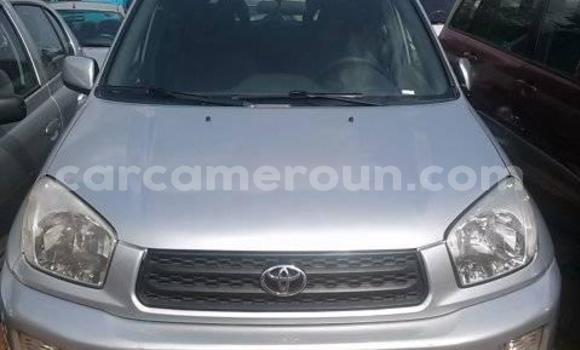 Acheter Occasion Voiture Toyota RAV4 Gris à Yaoundé, Central Cameroon Acheter Occasion Voiture Toyota RAV4 Gris à Yaoundé, Central Cameroon