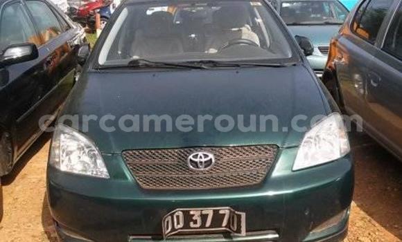 Acheter Occasion Voiture Toyota Corolla Vert à Yaoundé, Central Cameroon Acheter Occasion Voiture Toyota Corolla Vert à Yaoundé, Central Cameroon