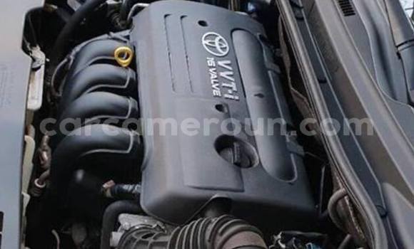 Acheter Occasion Voiture Toyota Corolla Bleu à Douala, Littoral Cameroon Acheter Occasion Voiture Toyota Corolla Bleu à Douala, Littoral Cameroon