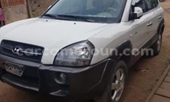 Buy Used Hyundai Tucson White Car in Yaounde in Central Cameroon Buy Used Hyundai Tucson White Car in Yaounde in Central Cameroon