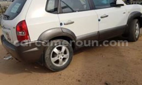 Buy Used Hyundai Tucson White Car in Yaounde in Central Cameroon Buy Used Hyundai Tucson White Car in Yaounde in Central Cameroon