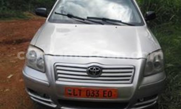 Buy Used Toyota Avensis Silver Car in Yaounde in Central Cameroon Buy Used Toyota Avensis Silver Car in Yaounde in Central Cameroon