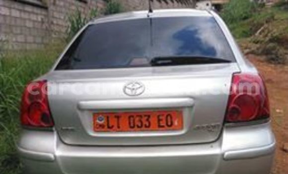 Buy Used Toyota Avensis Silver Car in Yaounde in Central Cameroon Buy Used Toyota Avensis Silver Car in Yaounde in Central Cameroon