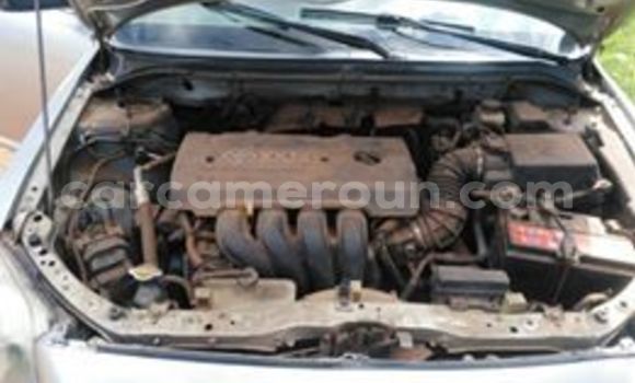 Buy Used Toyota Avensis Silver Car in Yaounde in Central Cameroon Buy Used Toyota Avensis Silver Car in Yaounde in Central Cameroon